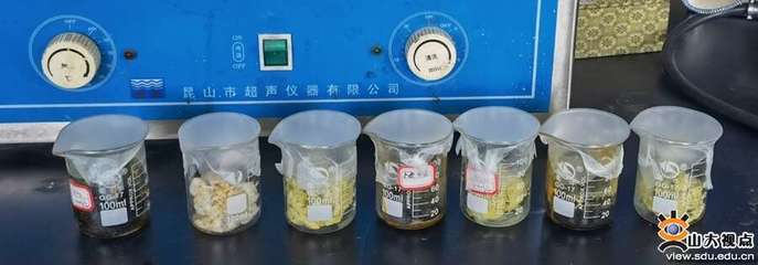 生物基材料技術(shù)研發(fā) 山大學(xué)子創(chuàng)新創(chuàng)業(yè)實踐的奮斗樂章